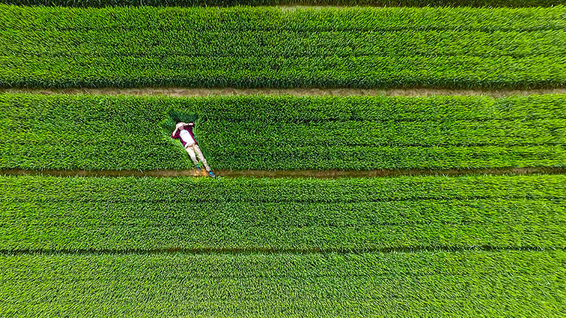 Xiwei Reservoir. Zoucheng, Shandong, China 