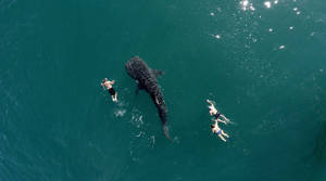 PHOTOS: Best drone photos of 2015