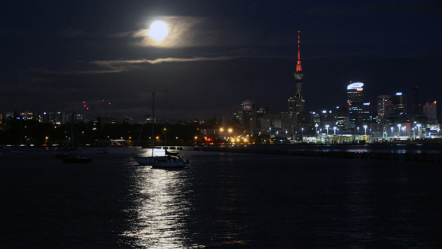 Edward Swift, Auckland