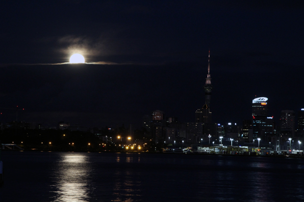 Edward Swift, Auckland