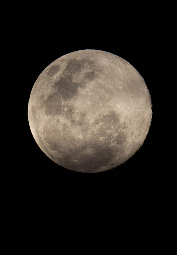 Dean Purcell, Auckland (NZ Herald)