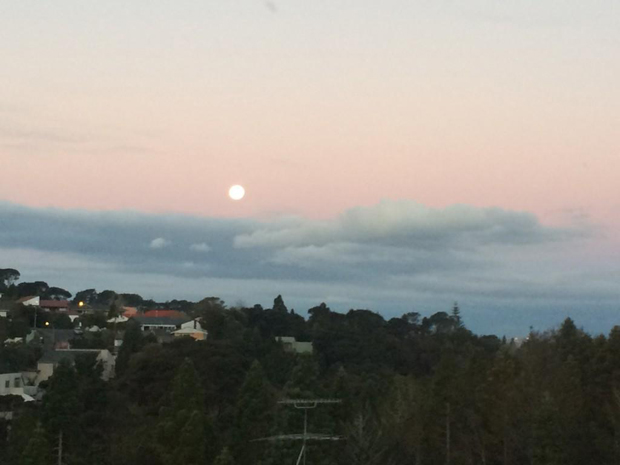 Lorna Subritzsky, Auckland