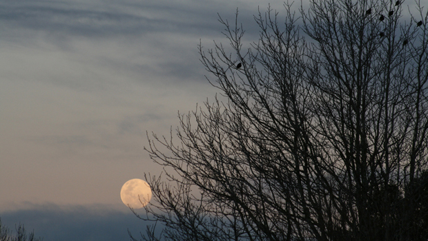 PHOTOS: Your "super duper moon" pics