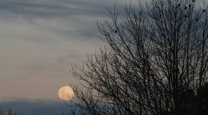 PHOTOS: Your "super duper moon" pics