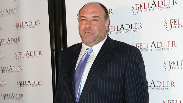 4 - Male: James (Pictured: Actor James Gandolfini) 