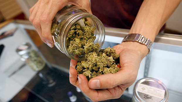 Growing pains: Stock shortages and redundancy for medicinal cannabis industry