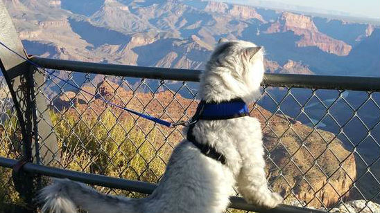 (Instagram/ganddygram)