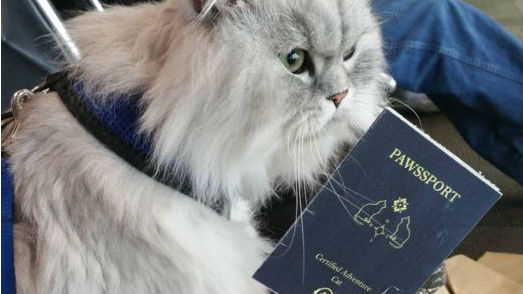 (Instagram/ganddygram)