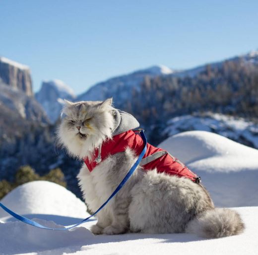 (Instagram/ganddygram)