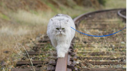 (Instagram/ganddygram)