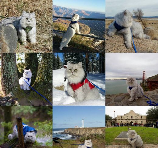 (Instagram/ganddygram)