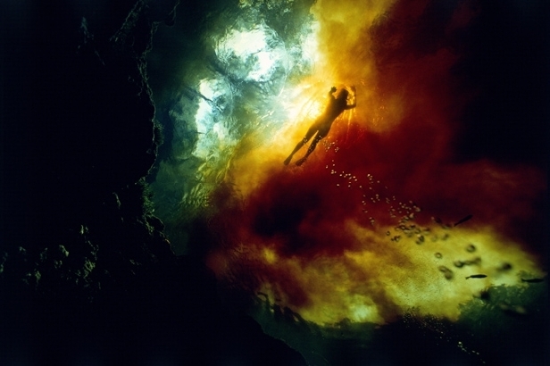 Diver in spring, Florida (David Doubilet)