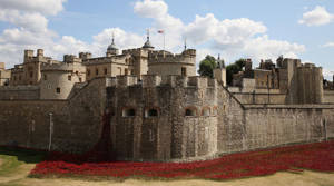 PHOTOS: The Tower of London Remembers