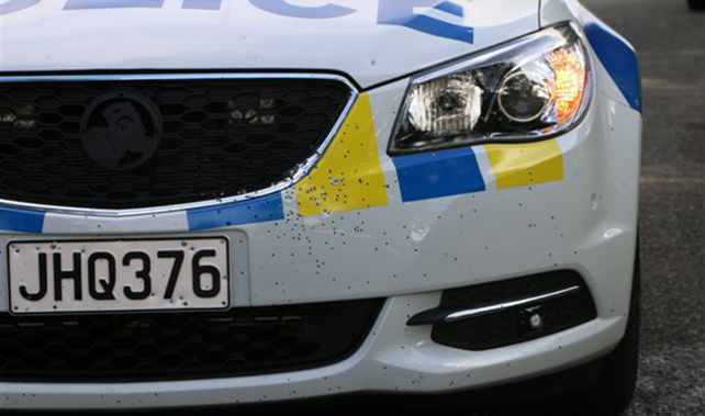 The damage done to the police vehicle (Supplied)