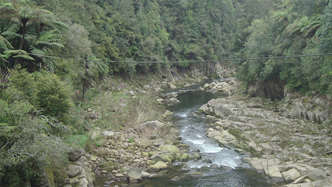 Wairoa River near McLaren Falls