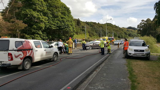 (NZ Herald/Supplied)