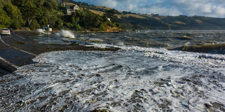 Police and fire services in Dunedin were attending several wind-related incidents this evening. Photo: Paul Le Comte / Twitter