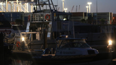 (Daniel Hines/NZ Herald)