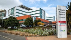 Wellington Regional Hospital. Photo / Mark Mitchell