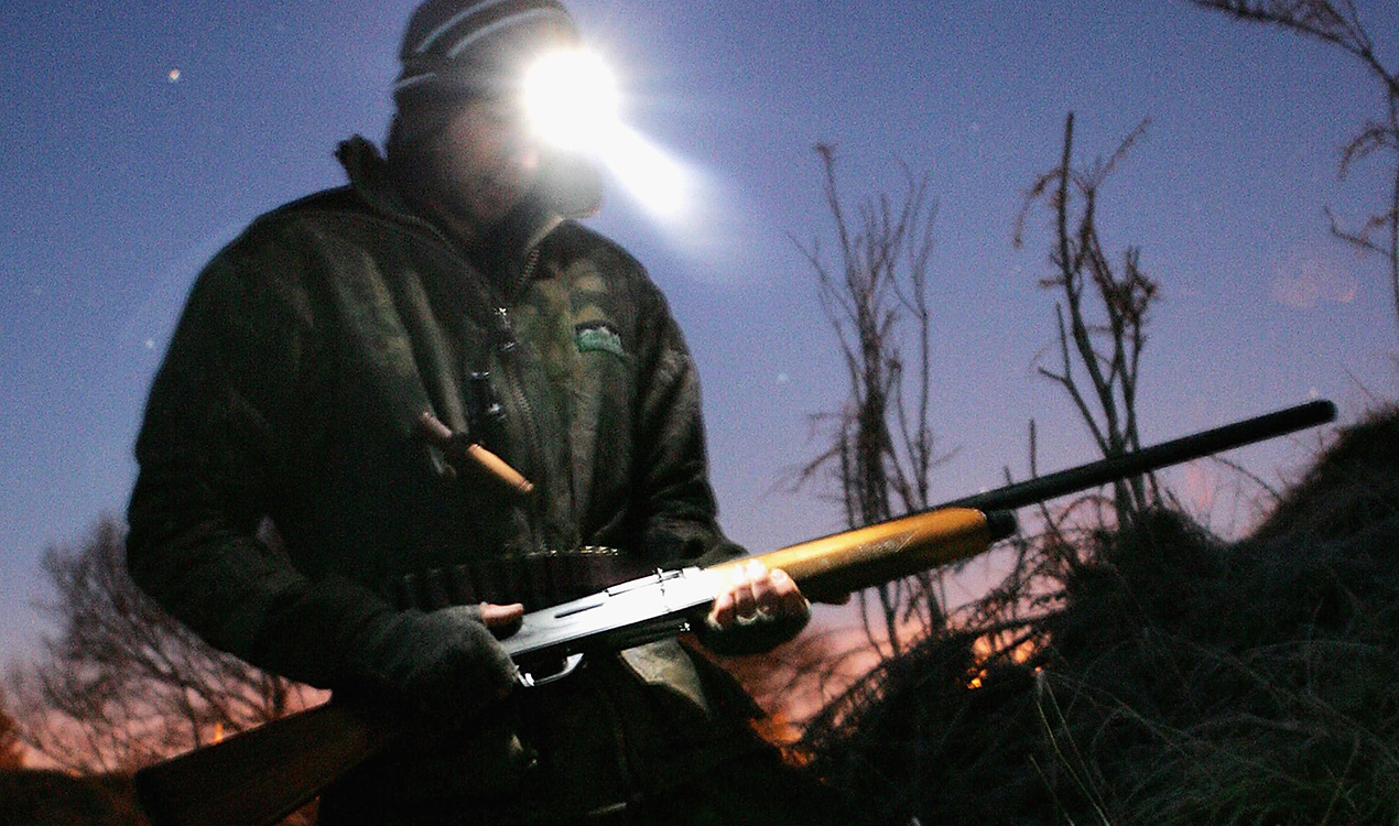 Photo / Getty Images