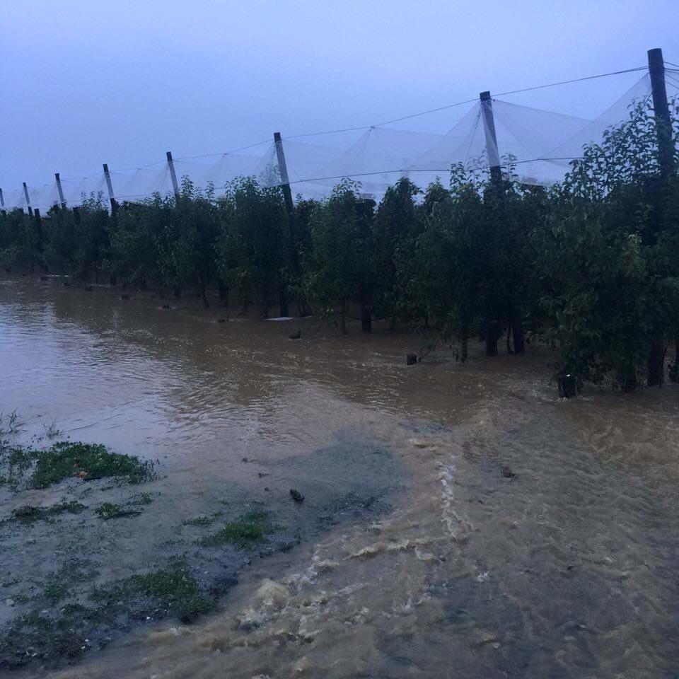 Flooding in Riwaka, at the top of the South Island 