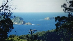 Kermadec Island (Supplied).