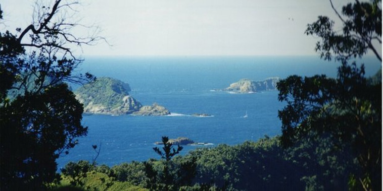 Kermadec Island (Supplied).