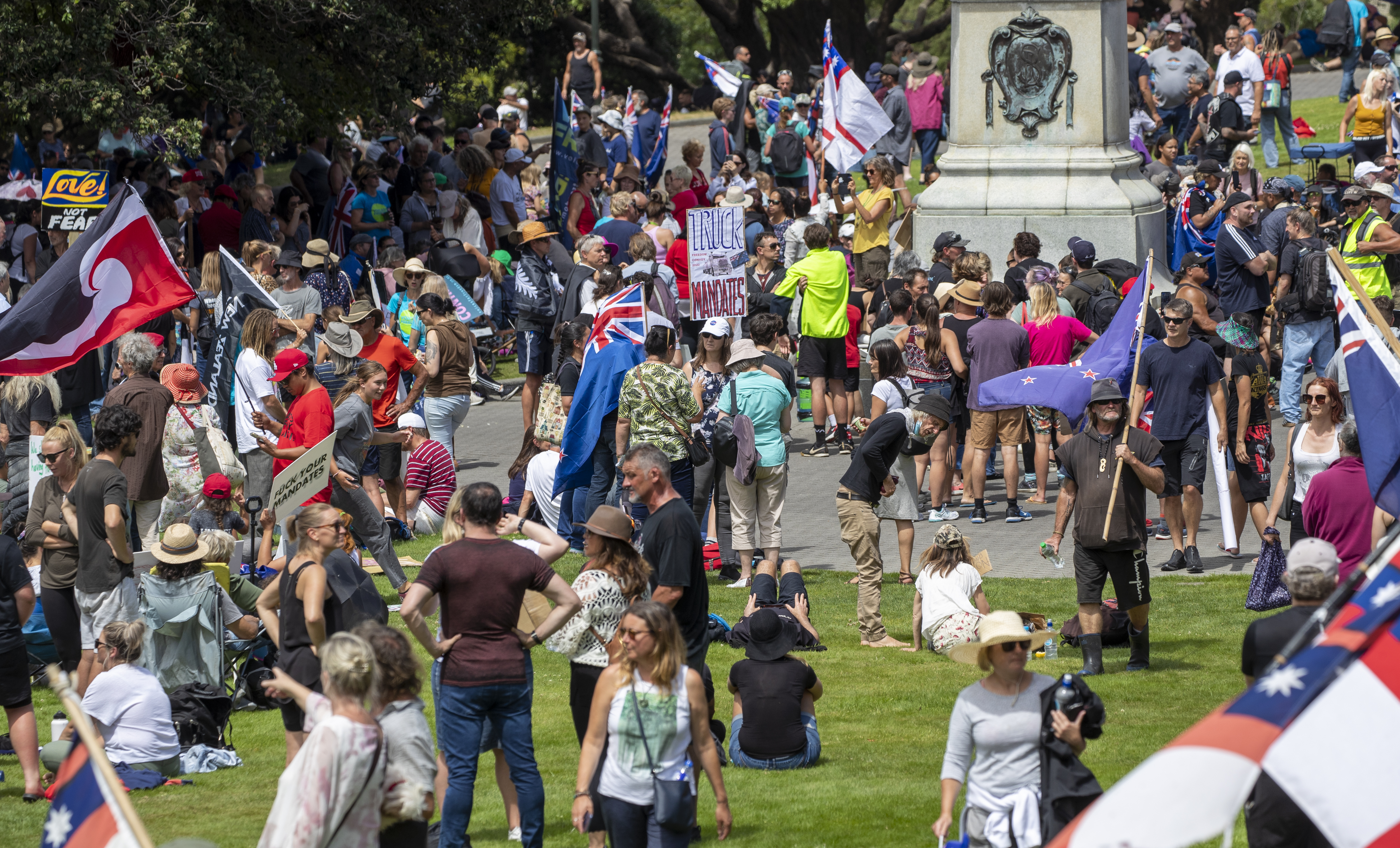 (Photo / Mark Mitchell)