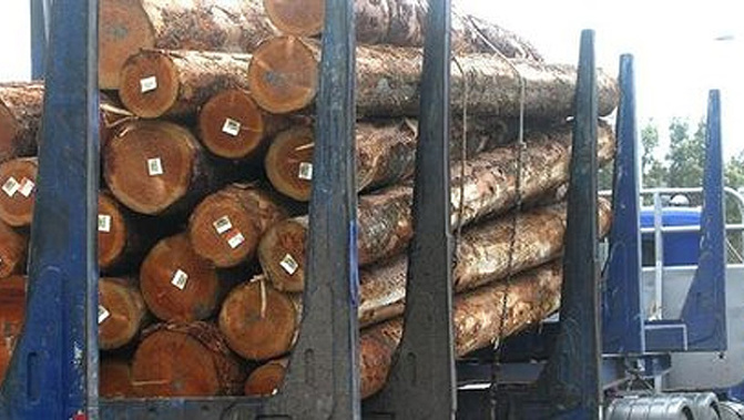 Five trucks have rolled in the past month in Northland and it is concerning residents of their children's safety (NZH).