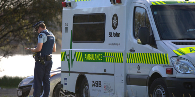 A car with passengers has plunged into the Waikato River at around 1.30pm on Saturday. (NZ Herald/Nick Reed)