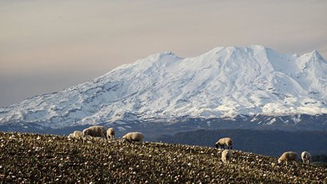 Mt Ruapehu (NZH).