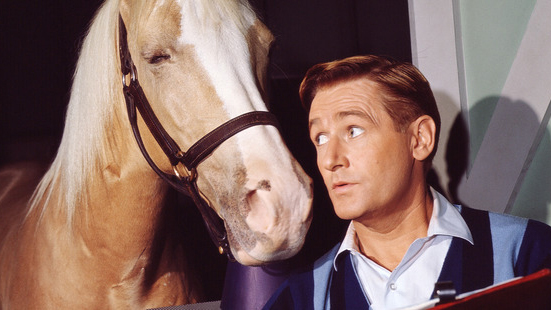 (Getty Images/NZ Herald)