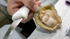 Photo / Getty Images