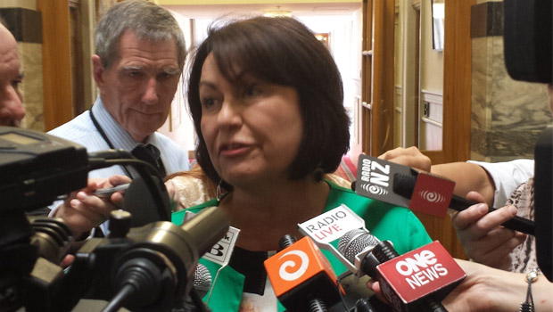 Education Minister Hekia Parata (Photo / Felix Marwick)