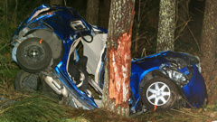 Bharatbhai Patel was killed when his car hit a tree in Kaingaroa Forest on Sunday (NZ Herald) 