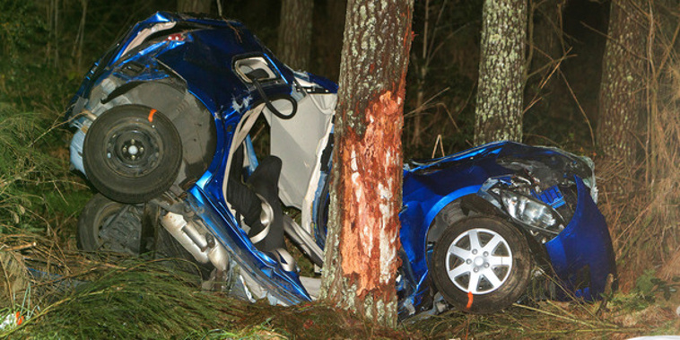 Bharatbhai Patel was killed when his car hit a tree in Kaingaroa Forest on Sunday (NZ Herald)