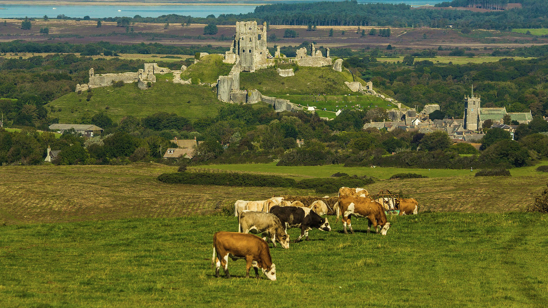 Corfe Castle (Mike Yardley)