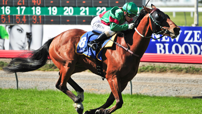 File photo - Blood Brotha winning at Riccarton Racecourse in 2012 (Photosport)