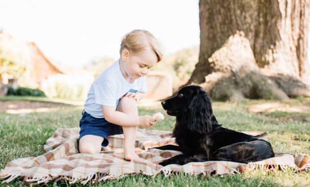 Prince George giving his dog a treat (Twitter)