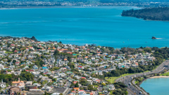 Barfoot and Thompson, Auckland's biggest real estate firm, is suggesting there may be signs the Auckland housing market's levelling out (Getty Images)