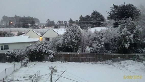 Snow in Brockville (Mark Hannah) 