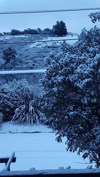 Dalziel Road (Maree Turnbull)