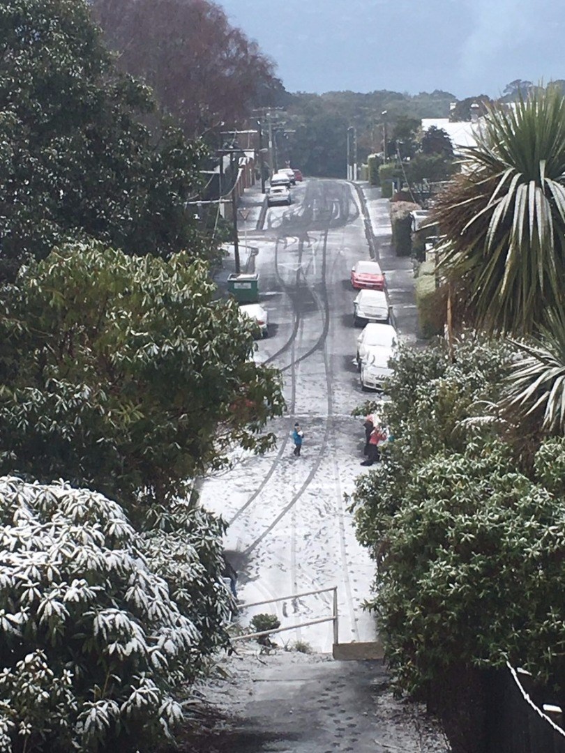 Maori Hill (Mark McGuire) 