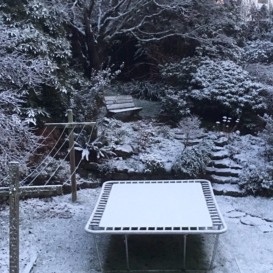 Maori Hill (Mark McGuire) 