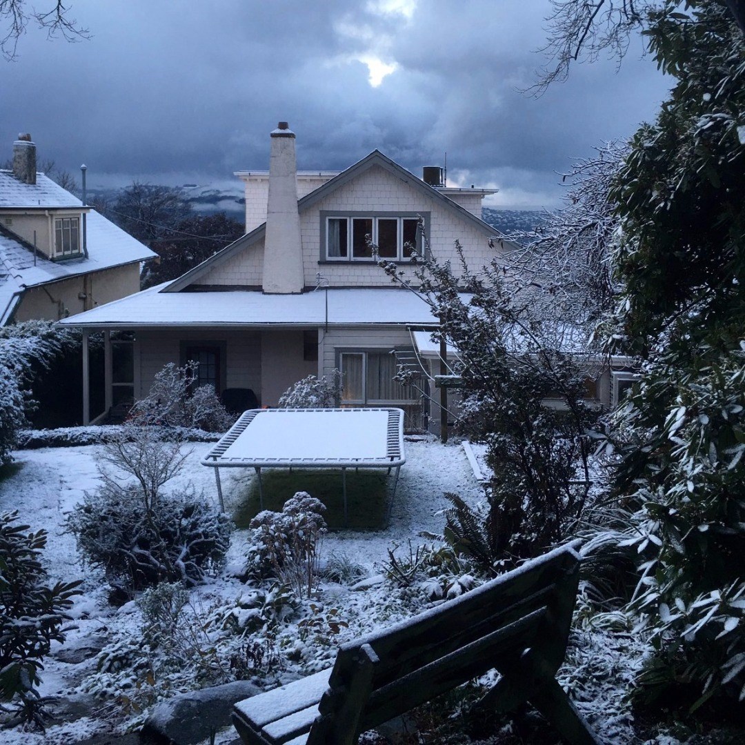 Maori Hill (Mark McGuire) 