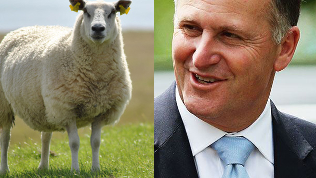 A controversial taxpayer-funded farm project in the Middle East remains stalled with the Saudi Government yet to sign-off an abattoir (Getty Images)