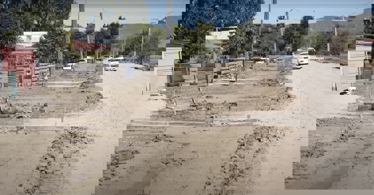 Photo / Gisborne Herald