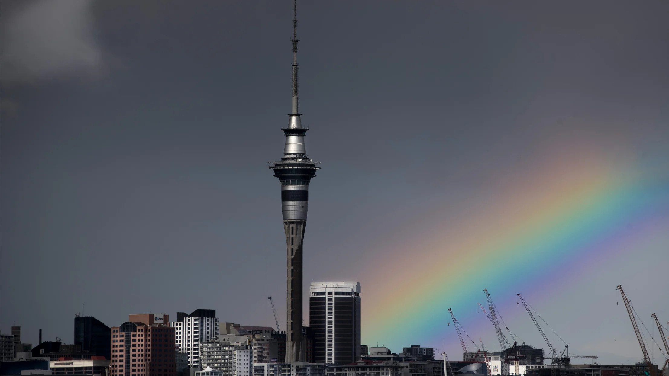 (Photo / Mark Mitchell)