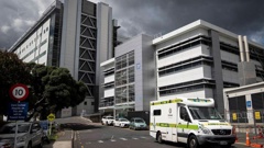 Te Whatu Ora data indicates that, since the wave began around two months ago, Pacific people had the highest average rates of daily hospital admissions with the virus per 100,000 head of population. Photo / Jason Oxenham