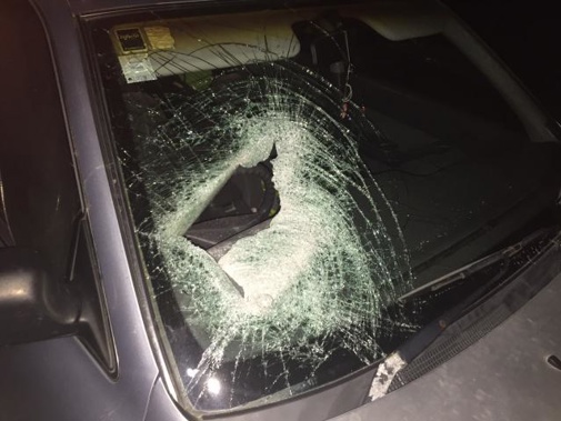 The Jim Beam bottle smashed through his windscreen late last night as he was driving on the local expressway (Supplied)